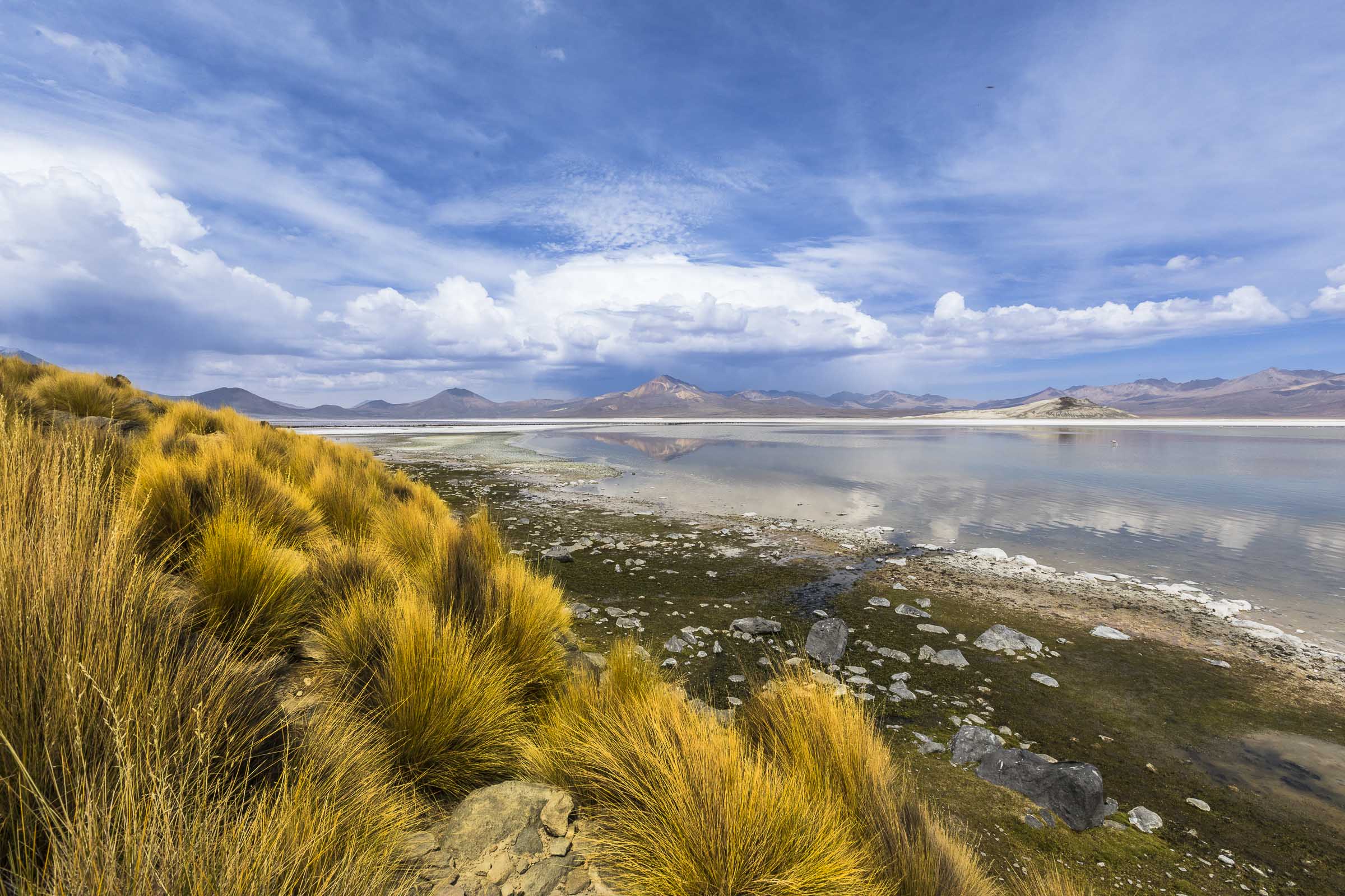 Salar, Chili, 2019